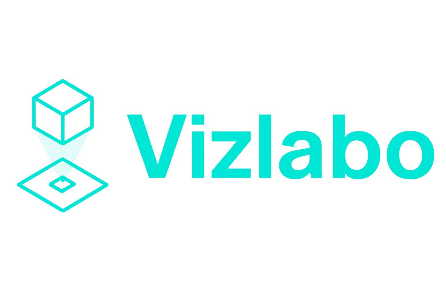 Vizlabo Logo